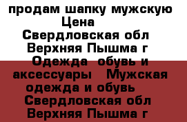 продам шапку мужскую  › Цена ­ 800 - Свердловская обл., Верхняя Пышма г. Одежда, обувь и аксессуары » Мужская одежда и обувь   . Свердловская обл.,Верхняя Пышма г.